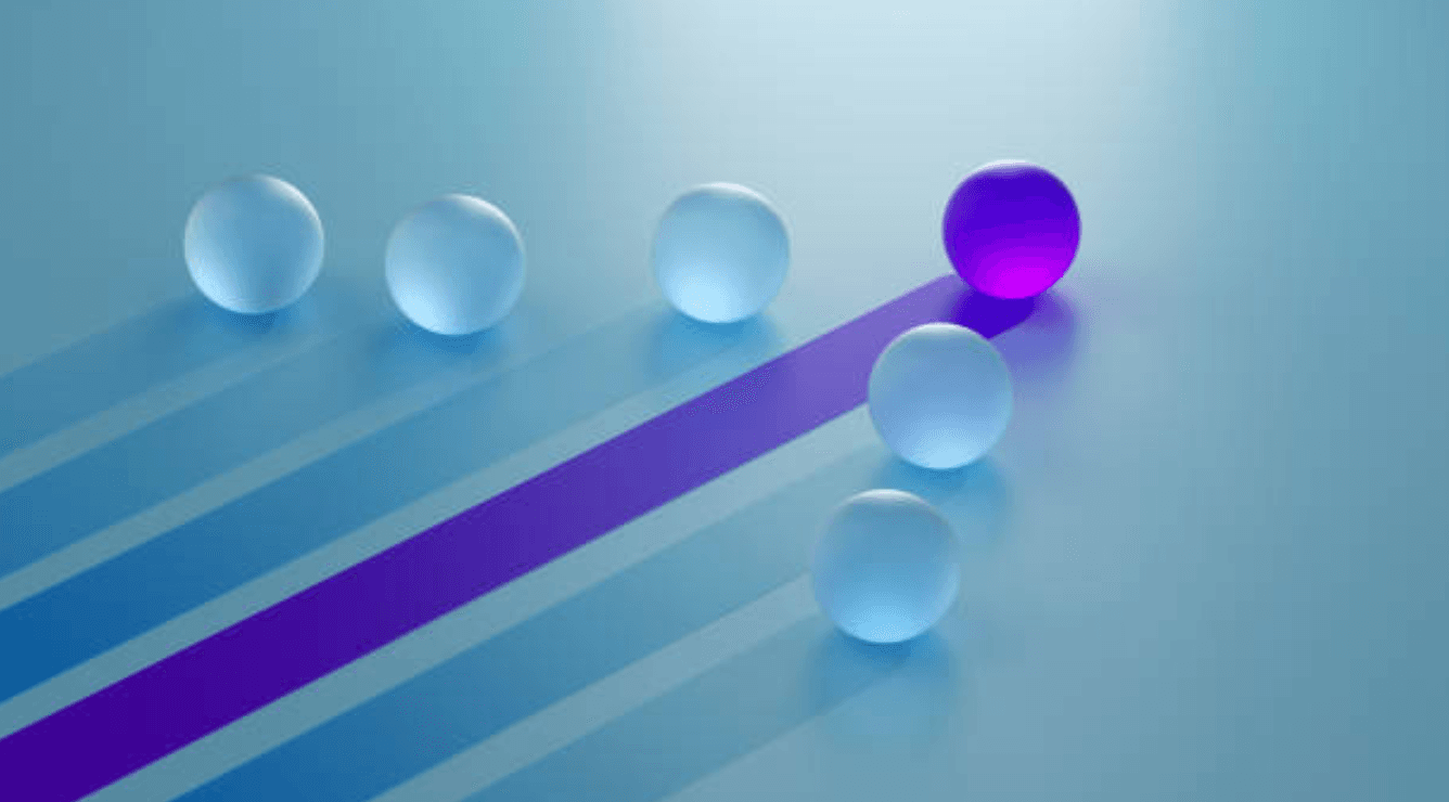 Paid media strategy, Paid search management, paid social management, conversion rate optimization, user experience